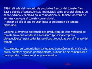 1996 retirada del mercado de productos frescos del tomate Flavr Savr : debido a consecuencias imprevistas como una piel blanda, un sabor extraño y cambios en la composición del tomate, además de ser mas caro que el tomate convencional. A pesar de ello si que se usan para la producción de tomate elaborado. Calgene la empresa biotecnológica productora de esta variedad de tomate tuvo que venderse a Monsanto (principal empresa biotecnológica) para paliar las pérdidas producidas por el fracaso del tomate. Actualmente se comercializan variedades transgénicas de maíz, soja, colza, patata y algodón principalmente, aunque no se comercializan como productos frescos sino ya elaborados. Índice 