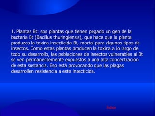 1. Plantas Bt: son plantas que tienen pegado un gen de la bacteria Bt (Bacillus thuringiensis), que hace que la planta produzca la toxina insecticida Bt, mortal para algunos tipos de insectos. Como estas plantas producen la toxina a lo largo de todo su desarrollo, las poblaciones de insectos vulnerables al Bt se ven permanentemente expuestos a una alta concentración de esta sustancia. Eso está provocando que las plagas desarrollen resistencia a este insecticida. Índice 