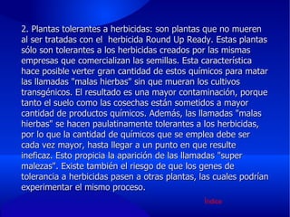 2. Plantas tolerantes a herbicidas: son plantas que no mueren al ser tratadas con el  herbicida Round Up Ready. Estas plantas sólo son tolerantes a los herbicidas creados por las mismas empresas que comercializan las semillas. Esta característica hace posible verter gran cantidad de estos químicos para matar las llamadas "malas hierbas" sin que mueran los cultivos transgénicos. El resultado es una mayor contaminación, porque tanto el suelo como las cosechas están sometidos a mayor cantidad de productos químicos. Además, las llamadas "malas hierbas" se hacen paulatinamente tolerantes a los herbicidas, por lo que la cantidad de químicos que se emplea debe ser cada vez mayor, hasta llegar a un punto en que resulte ineficaz. Esto propicia la aparición de las llamadas "super malezas". Existe también el riesgo de que los genes de tolerancia a herbicidas pasen a otras plantas, las cuales podrían experimentar el mismo proceso. Índice 