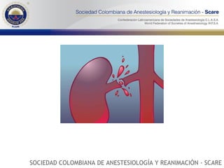 SOCIEDAD COLOMBIANA DE ANESTESIOLOGÍA Y REANIMACIÓN - SCARE 
