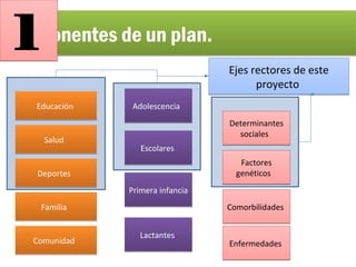 Componentes de un plan.Componentes de un plan.
EducaciónEducación
SaludSalud
DeportesDeportes
FamiliaFamilia
ComunidadComunidad
LactantesLactantes
Primera infanciaPrimera infancia
EscolaresEscolares
AdolescenciaAdolescencia
Determinantes
sociales
Determinantes
sociales
ComorbilidadesComorbilidades
Factores
genéticos
Factores
genéticos
EnfermedadesEnfermedades
Ejes rectores de este
proyecto
Ejes rectores de este
proyecto
11
 