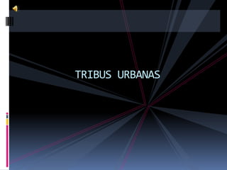 TRIBUS URBANAS
 