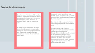 Limpiar la región genital con una
toallita que el profesional de la salud le
entregue. Los hombres deben limpiarse
la punta del pene.
Las mujeres deben separar los labios
vaginales y limpiarse de adelante hacia
atrás
Primero orinar en el inodoro
Luego, colocar el recipiente recolector
debajo del chorro de orina
Recoja al menos 1 o 2 onzas de orina en
el recipiente, que debería estar
marcado para indicar la cantidad
Termine de orinar en el inodoro
Entregue el recipiente con la muestra
siguiendo las instrucciones del
profesional de la salud.
Si es hombre, el profesional de la salud
hará una inspección visual de su pene y
podría usar un hisopo para tomar una
muestra de su uretra. También es
probable que le haga un análisis de
orina.
Se puede hacer una prueba de orina
tanto a hombres como a mujeres. Le
entregarán instrucciones para obtener
una muestra de orina limpia. Para
recoger una muestra de orina limpia,
usted debe:
Prueba de tricomoniasis
 