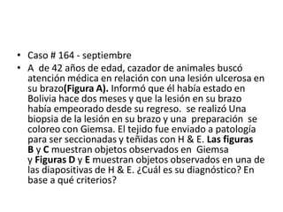 • Caso # 164 - septiembre
• A de 42 años de edad, cazador de animales buscó
atención médica en relación con una lesión ulcerosa en
su brazo(Figura A). Informó que él había estado en
Bolivia hace dos meses y que la lesión en su brazo
había empeorado desde su regreso. se realizó Una
biopsia de la lesión en su brazo y una preparación se
coloreo con Giemsa. El tejido fue enviado a patología
para ser seccionadas y teñidas con H & E. Las figuras
B y C muestran objetos observados en Giemsa
y Figuras D y E muestran objetos observados en una de
las diapositivas de H & E. ¿Cuál es su diagnóstico? En
base a qué criterios?
 