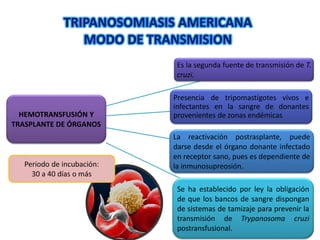 TRIPANOSOMIASIS AMERICANA
MODO DE TRANSMISION
HEMOTRANSFUSIÓN Y
TRASPLANTE DE ÓRGANOS
Es la segunda fuente de transmisión de T.
cruzi.
Presencia de tripomastigotes vivos e
infectantes en la sangre de donantes
provenientes de zonas endémicas
La reactivación postrasplante, puede
darse desde el órgano donante infectado
en receptor sano, pues es dependiente de
la inmunosupreosión.
Se ha establecido por ley la obligación
de que los bancos de sangre dispongan
de sistemas de tamizaje para prevenir la
transmisión de Trypanosoma cruzi
postransfusional.
 