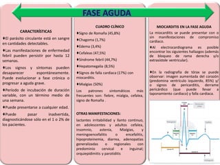 CARACTERÍSTICAS
♦El parásito circulante está en sangre
en cantidades detectables.
♦Las manifestaciones de enfermedad
febril pueden persistir por hasta 12
semanas.
♦Los signos y síntomas pueden
desaparecer espontáneamente.
Puede evolucionar a fase crónica o
progresar a aguda grave.
♦Período de incubación de duración
variable, con un término medio de
una semana.
♦Puede presentarse a cualquier edad.
♦Puede pasar inadvertida,
diagnosticándose sólo en el 1 o 2% de
los pacientes.
CUADRO CLÍNICO
♦Signo de Romaña (45,8%)
♦Chagoma (1,7%)
♦Edema (3,4%)
♦Cefaleas (47,5%)
♦Síndrome febril (44,7%)
♦Hepatomegalia (8,5%)
♦Signos de falla cardiaca (17%) con
miocarditis.
♦Mialgias (50%)
Los patrones sintomáticos más
frecuentes son: fiebre, mialgia, cefalea,
signo de Romaña .
OTRAS MANIFESTACIONES:
lactantes irritabilidad y llanto continuo,
en adolescentes y adultos cefalea,
insomnio, astenia, Mialgias, y
meningoencefalitis o encefalitis,
hipoproteinemia, diarrea, adenopatias
generalizadas o regionales con
predominio cervical e inguinal;
orquiepidimitis y parotiditis
MIOCARDITIS EN LA FASE AGUDA
La miocarditis se puede presentar con o
sin manifestaciones de compromiso
cardiaco.
♦Al electrocardiograma es posible
encontrar los siguientes hallazgos (además
de bloqueo de rama derecha y/o
extrasístole ventricular).
♦En la radiografía de tórax se puede
observar: imagen aumentada del corazón
(predomina ventrículo izquierdo, 85%) y/
o signos de pericarditis, derrame
pericárdico (que puede llevar a
taponamiento cardiaco) y falla cardiaca.
FASE AGUDA
 