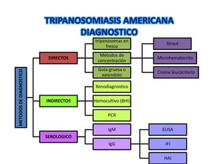 TRIPANOSOMIASIS AMERICANA
DIAGNOSTICO
METODOSDEDIAGNOSTICO
DIRECTOS
tripanosomas en
fresco
Métodos de
concentración
Strout
Microhematocrito
Creme leucocitario
Gota gruesa o
extendido
INDIRECTOS
Xenodiagnostico
Hemocultivo (BHI)
PCR
SEROLOGICO
IgM
IgG
ELISA
IFI
HAI
 