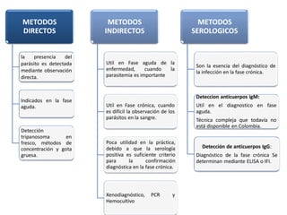 METODOS
DIRECTOS
la presencia del
parásito es detectada
mediante observación
directa.
Indicados en la fase
aguda.
Detección
tripanosoma en
fresco, métodos de
concentración y gota
gruesa.
METODOS
INDIRECTOS
Util en Fase aguda de la
enfermedad, cuando la
parasitemia es importante
Util en Fase crónica, cuando
es difícil la observación de los
parásitos en la sangre.
Poca utilidad en la práctica,
debido a que la serología
positiva es suficiente criterio
para la confirmación
diagnóstica en la fase crónica.
Xenodiagnóstico, PCR y
Hemocultivo
METODOS
SEROLOGICOS
Son la esencia del diagnóstico de
la infección en la fase crónica.
Deteccion anticuerpos igM:
Util en el diagnostico en fase
aguda.
Técnica compleja que todavía no
está disponible en Colombia.
Detección de anticuerpos IgG:
Diagnóstico de la fase crónica Se
determinan mediante ELISA o IFI.
 