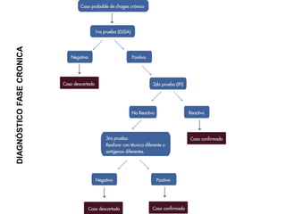 DIAGNÓSTICOFASECRONICA
 