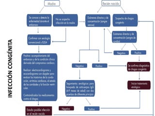 INFECCIÓNCONGÉNITA
 