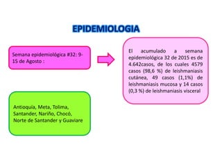 EPIDEMIOLOGIA
El acumulado a semana
epidemiológica 32 de 2015 es de
4.642casos, de los cuales 4579
casos (98,6 %) de leishmaniasis
cutánea, 49 casos (1,1%) de
leishmaniasis mucosa y 14 casos
(0,3 %) de leishmaniasis visceral
Semana epidemiológica #32: 9-
15 de Agosto :
Antioquía, Meta, Tolima,
Santander, Nariño, Chocó,
Norte de Santander y Guaviare
 