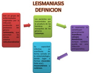 LEISMANIASIS
DEFINICION
Son un grupo de
enfermedades
originadas por la
infección
producida por
protozoos del
género
Leishmania, que
parasitan las
células del
sistema
reticuloendotelial
.
Los parásitos son
transmitidos por
la picadura de las
hembras de
mosquitos de los
géneros
Lutzomya.
El reservorio lo
constituyen
generalmente
mamíferos
salvajes o
domésticos,
aunque también
puede ser una
infección
antroponótica.
Su capacidad
infectiva se
manifiesta de
forma variada en
la sintomatología,
dando lugar a
formas viscerales
(kala-azar),
mucocutáneas y
cutáneas.
.
 