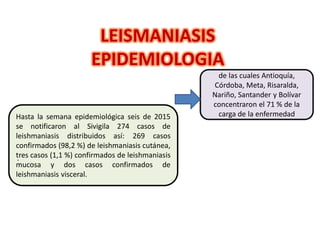 Hasta la semana epidemiológica seis de 2015
se notificaron al Sivigila 274 casos de
leishmaniasis distribuidos así: 269 casos
confirmados (98,2 %) de leishmaniasis cutánea,
tres casos (1,1 %) confirmados de leishmaniasis
mucosa y dos casos confirmados de
leishmaniasis visceral.
LEISMANIASIS
EPIDEMIOLOGIA
.
de las cuales Antioquía,
Córdoba, Meta, Risaralda,
Nariño, Santander y Bolívar
concentraron el 71 % de la
carga de la enfermedad
 