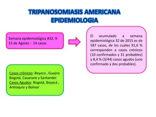 TRIPANOSOMIASIS AMERICANA
EPIDEMIOLOGIA
El acumulado a semana
epidemiológica 32 de 2015 es de
587 casos, de los cuales 91,6 %
corresponden a casos crónicos
(10 confirmados y 31 probables)
y 8,4 % (3/44) casos agudos (uno
confirmado y dos probables).
Semana epidemiológica #32: 9-
15 de Agosto : 14 casos
Casos crónicos: Boyaca , Guajira
Bogotá, Casanare y Santander
Casos Agudos: Bogotá, Boyacá ,
Antioquia y Bolivar
 