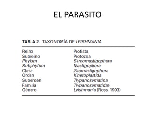 EL PARASITO
 