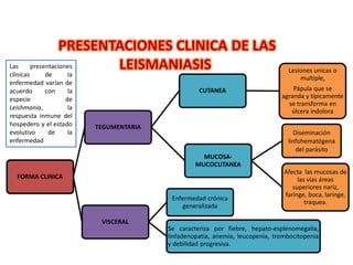 PRESENTACIONES CLINICA DE LAS
LEISMANIASIS
FORMA CLINICA
TEGUMENTARIA
CUTANEA
Lesiones unicas o
multiple,
Pápula que se
agranda y típicamente
se transforma en
úlcera indolora
MUCOSA-
MUCOCUTANEA
Diseminación
linfohematógena
del parásito
Afecta las mucosas de
las vías áreas
superiores nariz,
faringe, boca, laringe,
traquea.
VISCERAL
Enfermedad crónica
generalizada
Se caracteriza por fiebre, hepato-esplenomegalia,
linfadenopatía, anemia, leucopenia, trombocitopenia
y debilidad progresiva.
Las presentaciones
clínicas de la
enfermedad varían de
acuerdo con la
especie de
Leishmania, la
respuesta inmune del
hospedero y el estado
evolutivo de la
enfermedad
 