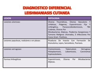 DIAGNOSTICO DIFERENCIAL
LEISHMANIASIS CUTANEA
LESION PATOLOGIA
Lesiones ulcerosas: Úlceras Traumáticas, Úlceras Vasculares Y
Linfaticas, Piógenas, Esporotricosis Fija Y
Linfangítica, Paracoccidioidomicosis, TBC
Cutánea, Úlceras Por
Micobacterias Atípicas, Pioderma Gangrenoso Y
Tumores Malignos Ulcerados, E Infecciones Por
Cocos Gram Positivos.
Lesiones papulosas, nodulares o en placas: Picaduras De Insecto Con Formación De
Granuloma, Lepra, Sarcoidosis, Psoriasis.
Lesiones verrugosas: Cromomicosis, Tuberculosis Verrugosa,
Histoplasmosis, Lobomicosis, Carcinomas
Espinocelulares.
Formas linfangíticas Esporotricosis, Úlceras Por Micobacterias
Atípicas.
 