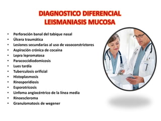 • Perforación banal del tabique nasal
• Úlcera traumática
• Lesiones secundarias al uso de vasoconstrictores
• Aspiración crónica de cocaína
• Lepra lepromatosa
• Paracoccidiodomicosis
• Lues tardía
• Tuberculosis orificial
• Histoplasmosis
• Rinosporidiosis
• Esporotricosis
• Linfoma angiocéntrico de la línea media
• Rinoescleroma
• Granulomatosis de wegener
DIAGNOSTICO DIFERENCIAL
LEISMANIASIS MUCOSA
 