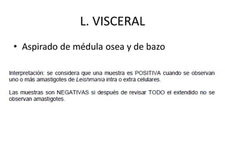 L. VISCERAL
• Aspirado de médula osea y de bazo
 
