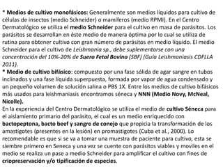 * Medios de cultivo monofásicos: Generalmente son medios líquidos para cultivo de
células de insectos (medio Schneider) o mamíferos (medio RPMI). En el Centro
Dermatológico se utiliza el medio Schneider para el cultivo en masa de parásitos. Los
parásitos se desarrollan en éste medio de manera óptima por lo cual se utiliza de
rutina para obtener cultivo con gran número de parásitos en medio líquido. El medio
Schneider para el cultivo de Leishmania sp., debe suplementarse con una
concentración del 10%-20% de Suero Fetal Bovino (SBF) (Guía Leishmaniasis CDFLLA
2011).
* Medio de cultivo bifásico: compuesto por una fase sólida de agar sangre en tubos
inclinados y una fase líquida superpuesta, formada por vapor de agua condensado y
un pequeño volumen de solución salina o PBS 1X. Entre los medios de cultivo bifásicos
más usados para leishmaniasis encontramos séneca y NNN (Medio Novy, McNeal,
Nicolle).
En la experiencia del Centro Dermatológico se utiliza el medio de cultivo Séneca para
el aislamiento primario del parásito, el cual es un medio enriquecido con
bactopeptona, bacto beef y sangre de conejo que propicia la transformación de los
amastigotes (presentes en la lesión) en promastigotes (Cuba et al., 2000). Lo
recomendable es que si se va a tomar una muestra de paciente para cultivo, esta se
siembre primero en Seneca y una vez se cuente con parásitos viables y moviles en el
medio se realiza un pase a medio Schneider para amplificar el cultivo con fines de
criopreservación y/o tipificación de especies.
 