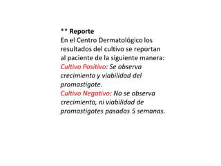 ** Reporte
En el Centro Dermatológico los
resultados del cultivo se reportan
al paciente de la siguiente manera:
Cultivo Positivo: Se observa
crecimiento y viabilidad del
promastigote.
Cultivo Negativo: No se observa
crecimiento, ni viabilidad de
promastigotes pasadas 5 semanas.
 