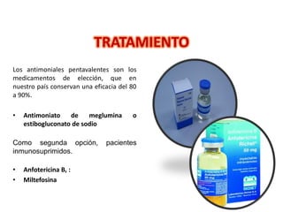 Los antimoniales pentavalentes son los
medicamentos de elección, que en
nuestro país conservan una eficacia del 80
a 90%.
• Antimoniato de meglumina o
estibogluconato de sodio
Como segunda opción, pacientes
inmunosuprimidos.
• Anfotericina B, :
• Miltefosina
TRATAMIENTO
 