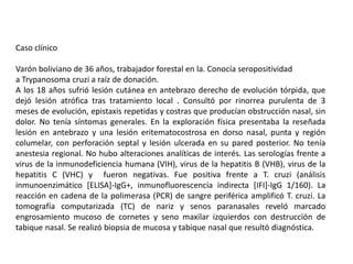 Caso clínico
Varón boliviano de 36 años, trabajador forestal en la. Conocía seropositividad
a Trypanosoma cruzi a raíz de donación.
A los 18 años sufrió lesión cutánea en antebrazo derecho de evolución tórpida, que
dejó lesión atrófica tras tratamiento local . Consultó por rinorrea purulenta de 3
meses de evolución, epistaxis repetidas y costras que producían obstrucción nasal, sin
dolor. No tenía síntomas generales. En la exploración física presentaba la reseñada
lesión en antebrazo y una lesión eritematocostrosa en dorso nasal, punta y región
columelar, con perforación septal y lesión ulcerada en su pared posterior. No tenía
anestesia regional. No hubo alteraciones analíticas de interés. Las serologías frente a
virus de la inmunodeficiencia humana (VIH), virus de la hepatitis B (VHB), virus de la
hepatitis C (VHC) y fueron negativas. Fue positiva frente a T. cruzi (análisis
inmunoenzimático [ELISA]-IgG+, inmunofluorescencia indirecta [IFI]-IgG 1/160). La
reacción en cadena de la polimerasa (PCR) de sangre periférica amplificó T. cruzi. La
tomografía computarizada (TC) de nariz y senos paranasales reveló marcado
engrosamiento mucoso de cornetes y seno maxilar izquierdos con destrucción de
tabique nasal. Se realizó biopsia de mucosa y tabique nasal que resultó diagnóstica.
 