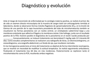 Diagnóstico y evolución
Ante el riesgo de transmisión de enfermedad por la serología materna positiva, se realizó el primer día
de vida un examen directo microscópico de la muestra de sangre total con anticoagulante remitida al
laboratorio, donde se observaron formas móviles flagelares de aproximadamente 20 µ. en la tinción de
Giemsa de una porción de la capa leucocitaria procedente del tubo de microhematocrito también se
visualizaron las formas parasitarias con un núcleo central, un cinetoplasto subterminal largo y una
membrana ondulante que adhería el flagelo a la membrana celular. Este hallazgo, junto con el resultado
positivo de la PCR, hicieron posible el diagnóstico de la parasitemia en el recién nacido producida por
_________ Consecuentemente, se instauró tratamiento con benznidazol 5 mg/kg cada 12 h durante 60
días. Como estudios complementarios se realizaron una radiografía de tórax, un electrocardiograma, un
ecocardiograma, una ecografía abdominal y un fondo de ojo, que resultaron normales.
En los hemogramas posteriores al inicio del tratamiento se objetivó de forma intermitente neutropenia,
que se resolvió sin necesidad de modificar la actitud terapéutica. Se realizó seguimiento ambulatorio,
finalizando el tratamiento tras 60 días sin más incidencias. Posteriormente se repitieron tanto el
microhematocrito como la PCR, resultando ambos negativos.
 