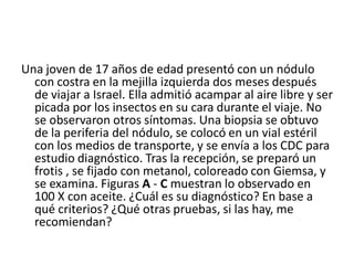 Una joven de 17 años de edad presentó con un nódulo
con costra en la mejilla izquierda dos meses después
de viajar a Israel. Ella admitió acampar al aire libre y ser
picada por los insectos en su cara durante el viaje. No
se observaron otros síntomas. Una biopsia se obtuvo
de la periferia del nódulo, se colocó en un vial estéril
con los medios de transporte, y se envía a los CDC para
estudio diagnóstico. Tras la recepción, se preparó un
frotis , se fijado con metanol, coloreado con Giemsa, y
se examina. Figuras A - C muestran lo observado en
100 X con aceite. ¿Cuál es su diagnóstico? En base a
qué criterios? ¿Qué otras pruebas, si las hay, me
recomiendan?
 