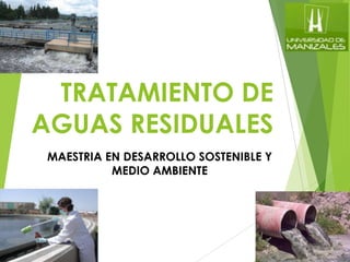 TRATAMIENTO DE
AGUAS RESIDUALES
MAESTRIA EN DESARROLLO SOSTENIBLE Y
MEDIO AMBIENTE

 