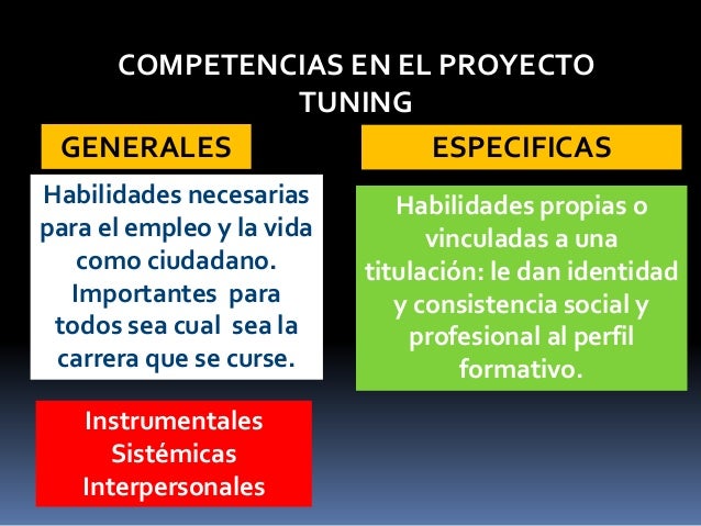 PROYECTO TUNNING EN AMERICA LATINA