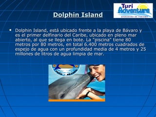 Dolphin IslandDolphin Island
 Dolphin Island, está ubicado frente a la playa de Bávaro yDolphin Island, está ubicado frente a la playa de Bávaro y
es el primer delfinario del Caribe, ubicado en pleno mares el primer delfinario del Caribe, ubicado en pleno mar
abierto, al que se llega en bote. La "piscina" tiene 80abierto, al que se llega en bote. La "piscina" tiene 80
metros por 80 metros, en total 6.400 metros cuadrados demetros por 80 metros, en total 6.400 metros cuadrados de
espejo de agua con un profundidad media de 4 metros y 25espejo de agua con un profundidad media de 4 metros y 25
millones de litros de agua limpia de mar.millones de litros de agua limpia de mar.
 