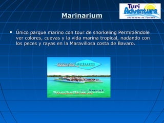 MarinariumMarinarium
 Único parque marino con tour de snorkeling PermitiéndoleÚnico parque marino con tour de snorkeling Permitiéndole
ver colores, cuevas y la vida marina tropical, nadando conver colores, cuevas y la vida marina tropical, nadando con
los peces y rayas en la Maravillosa costa de Bavaro.los peces y rayas en la Maravillosa costa de Bavaro.
 