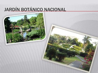 JARDÍN BOTÁNICO NACIONAL
 