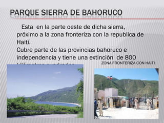 PARQUE SIERRA DE BAHORUCO
Esta en la parte oeste de dicha sierra,
próximo a la zona fronteriza con la republica de
Haití.
Cubre parte de las provincias bahoruco e
independencia y tiene una extinción de 800
kilómetros cuadrados. ZONA FRONTERIZA CON HAITI
 