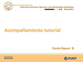 Diplomatura de Especialización en
Educación Inclusiva: Atención a las Necesidades Educativas
Especiales
Carola Napurí R.
Acompañamiento tutorial
 