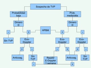 Sospecha de TVP Probabilidad baja Prob. media/alta Dimero D Dimero D - + + - HPBM Sin TVP Eco-Doppler Eco-Doppler Eco-Doppler + - - + + - Sin TVP Anticoag. Anticoag. Sin TVP Repetir E-Doppler 1 semana - + 