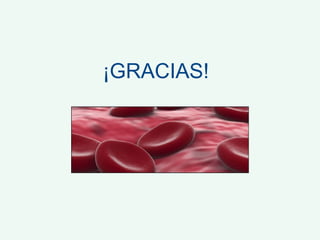 ¡GRACIAS! 