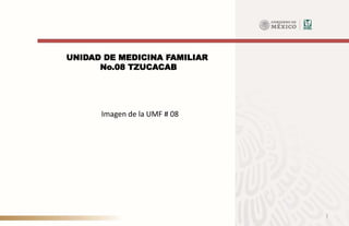 1
UNIDAD DE MEDICINA FAMILIAR
No.08 TZUCACAB
Imagen de la UMF # 08
 