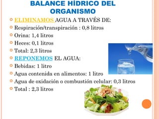 BALANCE HÍDRICO DEL
ORGANISMO
 ELIMINAMOS AGUA A TRAVÉS DE:
 Respiración/transpiración : 0,8 litros
 Orina: 1,4 litros
 Heces: 0,1 litros
 Total: 2,3 litros
 REPONEMOS EL AGUA:
 Bebidas: 1 litro
 Agua contenida en alimentos: 1 litro
 Agua de oxidación o combustión celular: 0,3 litros
 Total : 2,3 litros
 