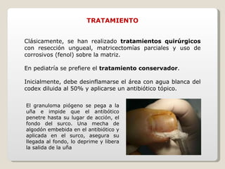 TRATAMIENTO Clásicamente, se han realizado  tratamientos quirúrgicos  con resección ungueal, matricectomías parciales y uso de corrosivos (fenol) sobre la matriz. En pediatría se prefiere el  tratamiento conservador . Inicialmente, debe desinflamarse el área con agua blanca del codex diluida al 50% y aplicarse un antibiótico tópico. El granuloma piógeno se pega a la uña e impide que el antibótico penetre hasta su lugar de acción, el fondo del surco. Una mecha de algodón embebida en el antibiótico y aplicada en el surco, asegura su llegada al fondo, lo deprime y libera la salida de la uña 