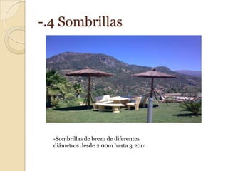 -.4 Sombrillas




  -Sombrillas de brezo de diferentes
  diámetros desde 2.00m hasta 3.20m
 