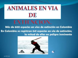 ANIMALESEN VIA DE EXTIENCION. Más de 600 especies en vías de extinción en Colombia En Colombia se registran 641 especies en vía de extinción; la mitad de ellas en peligro inminente 20/06/2011 