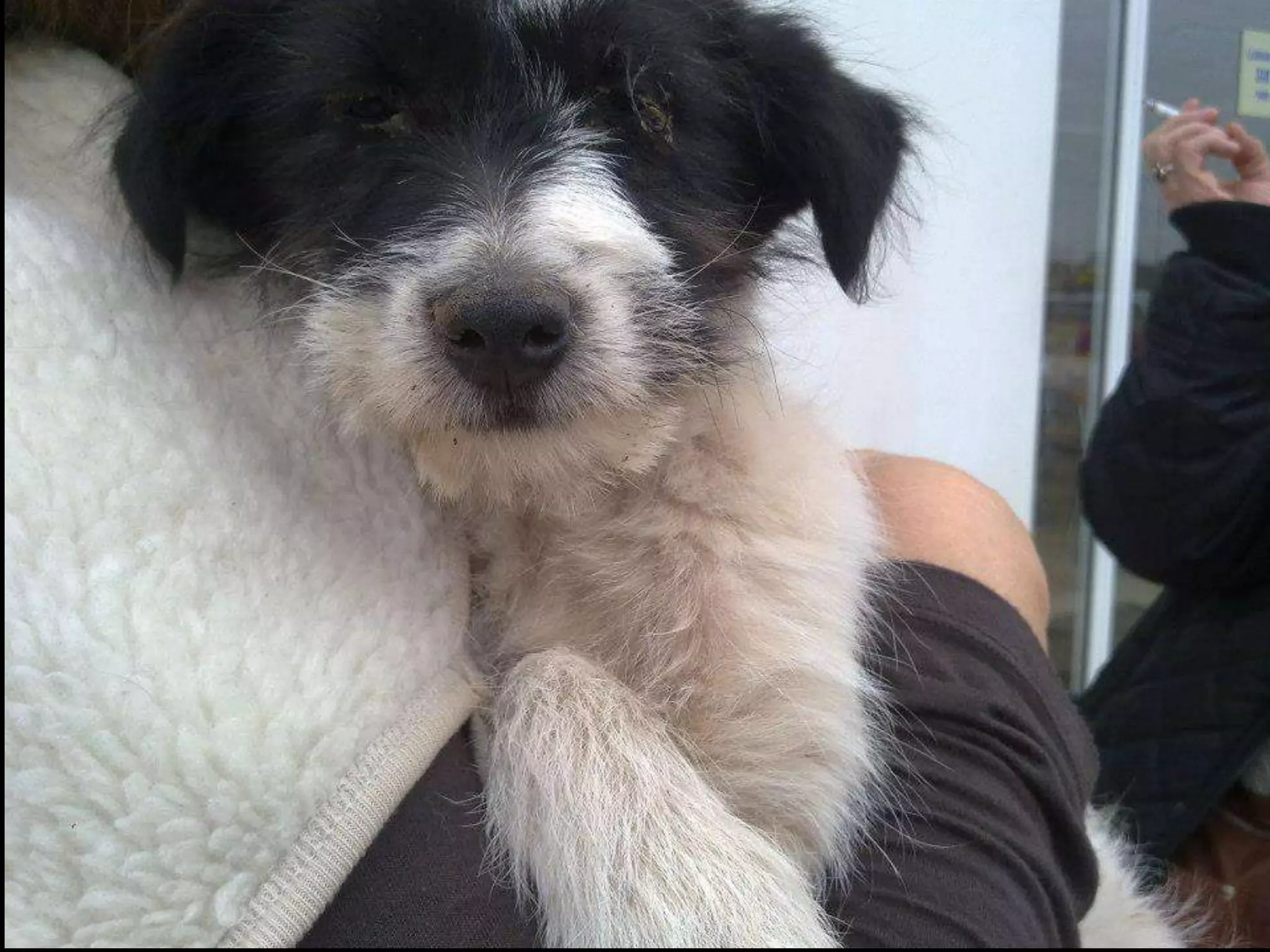 FELIZ 2013!!!!!!!!!!!!!!