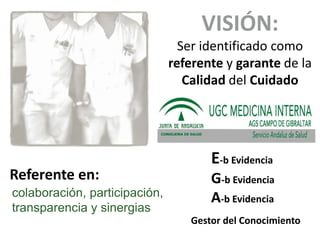 VISIÓN:
Ser identificado como
referente y garante de la
Calidad del Cuidado
E-b Evidencia
G-b Evidencia
A-b Evidencia
Gestor del Conocimiento
colaboración, participación,
transparencia y sinergias
Referente en:
 