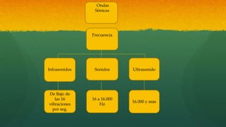 16 a 16.000
Hz
16.000 y más
De Bajo de
las 16
vibraciones
por seg.
Ondas
Sónicas
Frecuencia
Infrasonidos Sonidos Ultrasonido
 