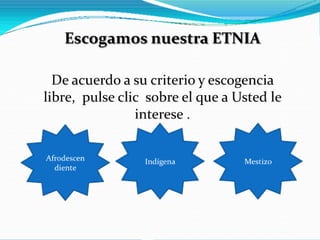 Juego de Serie de Imágenes