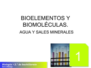 BIOELEMENTOS Y 
BIOMOLÉCULAS. 
AGUA Y SALES MINERALES 
Biología • 2.º de bachillerato 
Saro Hidalgo 
 
