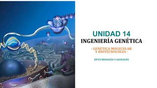 UNIDAD 14
INGENIERÍA GENÉTICA
DPTO BIOLOGÍA Y GEOLOGÍA
· GENÉTICA MOLECULAR
Y BIOTECNOLOGIA ·
 