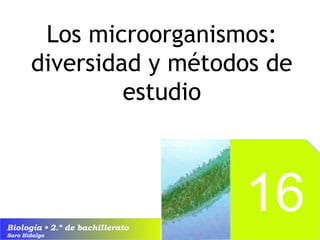 1166 
Los microorganismos: 
diversidad y métodos de 
estudio 
Biología • 2.º de bachillerato 
Saro Hidalgo 
1166 
 